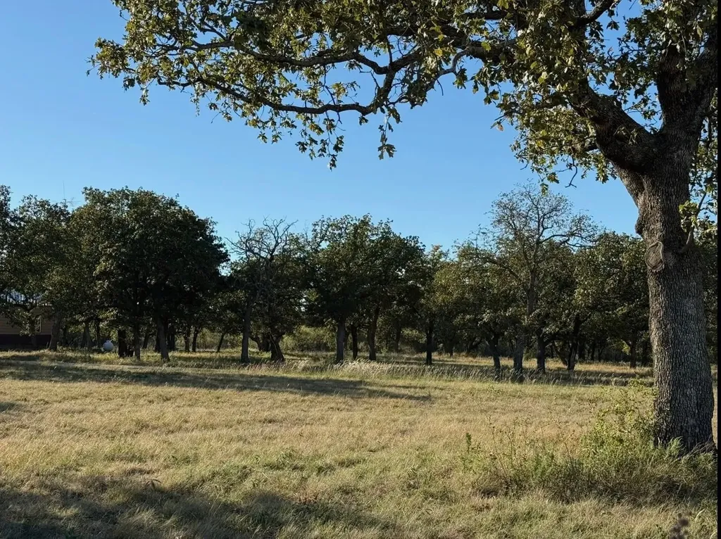 2046 County Road 103 Comanche TX 76442