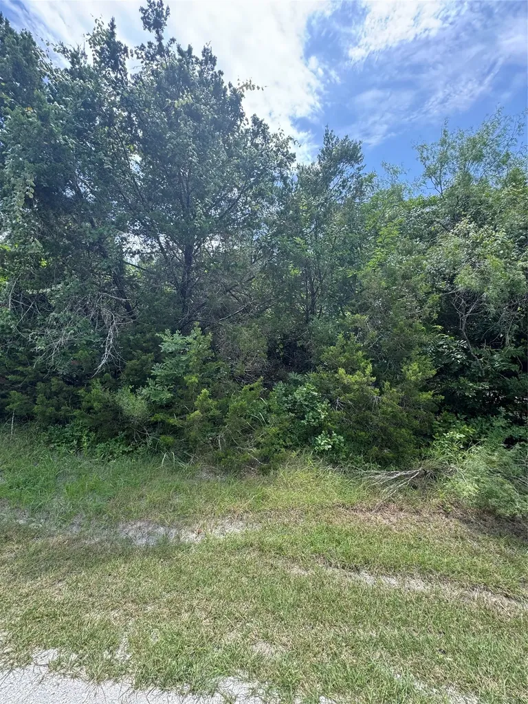12208 Rolling Oaks Drive Whitney TX 76692
