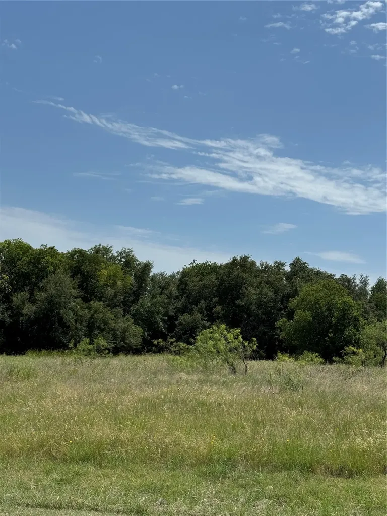 1116 Lakeside Trail Whitney TX 76692