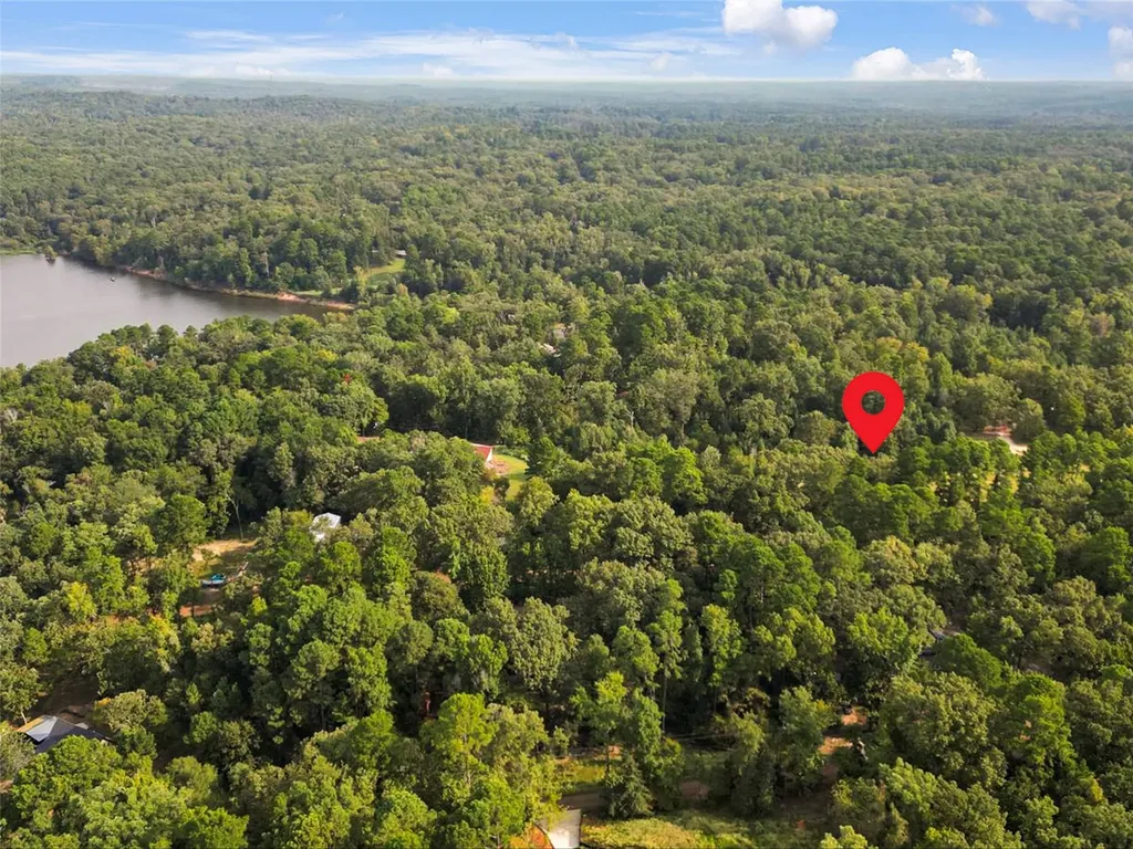 220 Dale Drive Avinger TX 75630