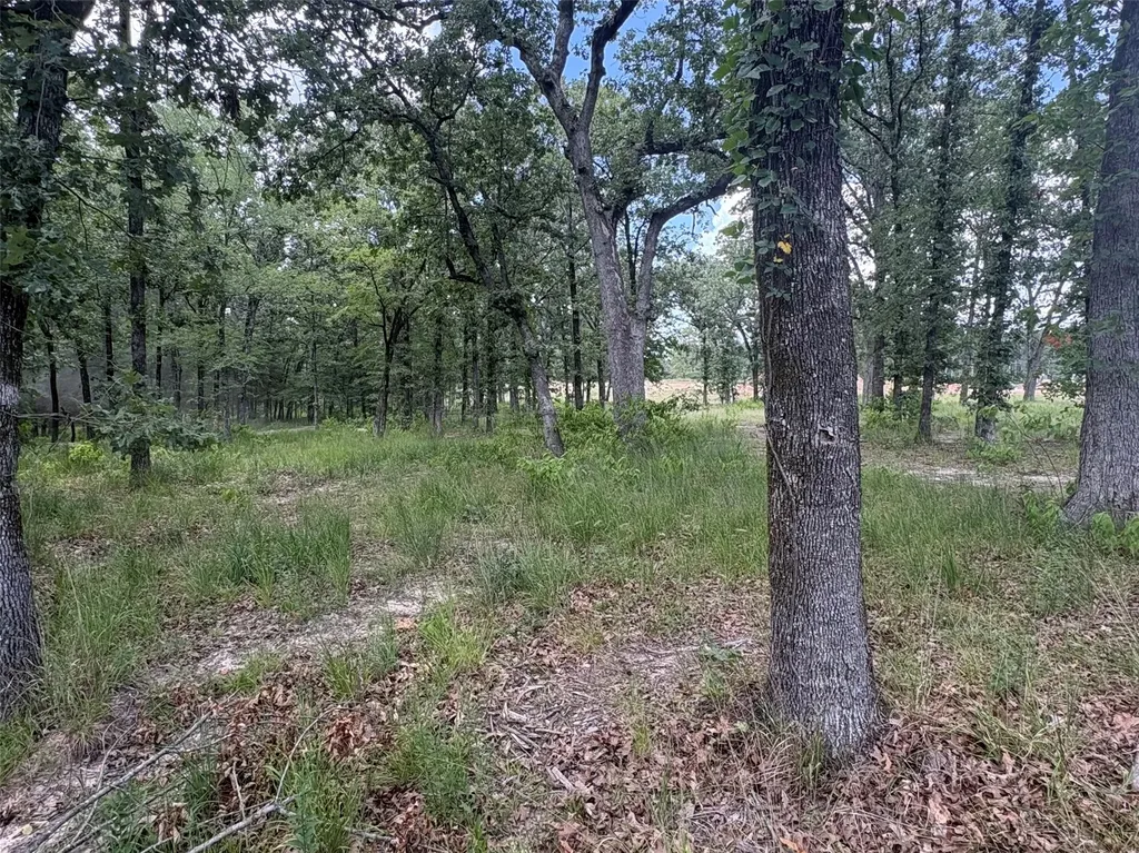 Tbd Pvt 5948 Road Yantis TX 75765