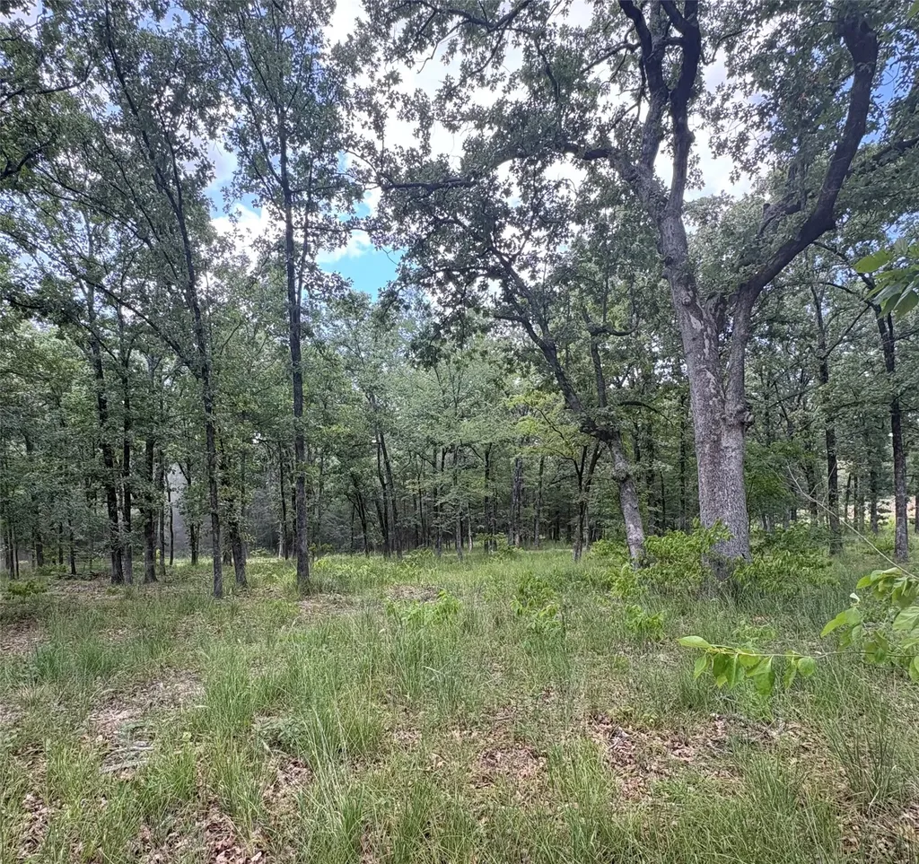Tbd Pvt 5948 Road Yantis TX 75765