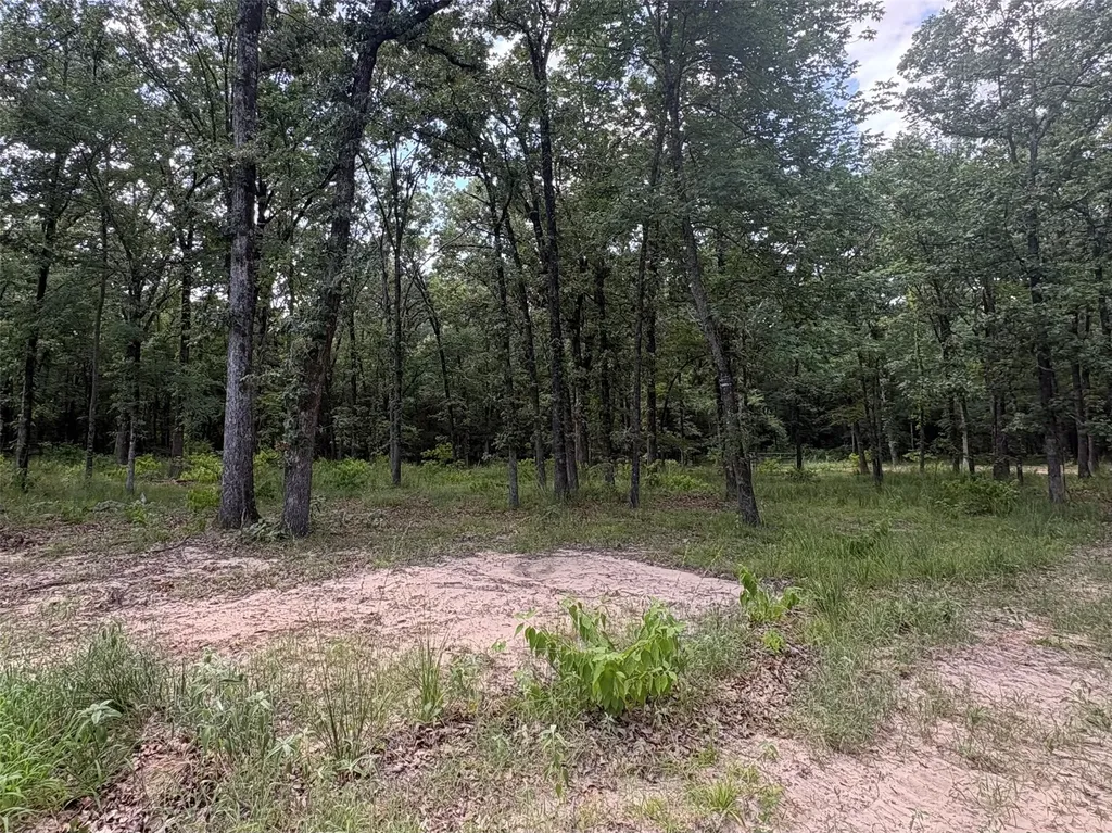 Tbd Pvt 5948 Road Yantis TX 75765