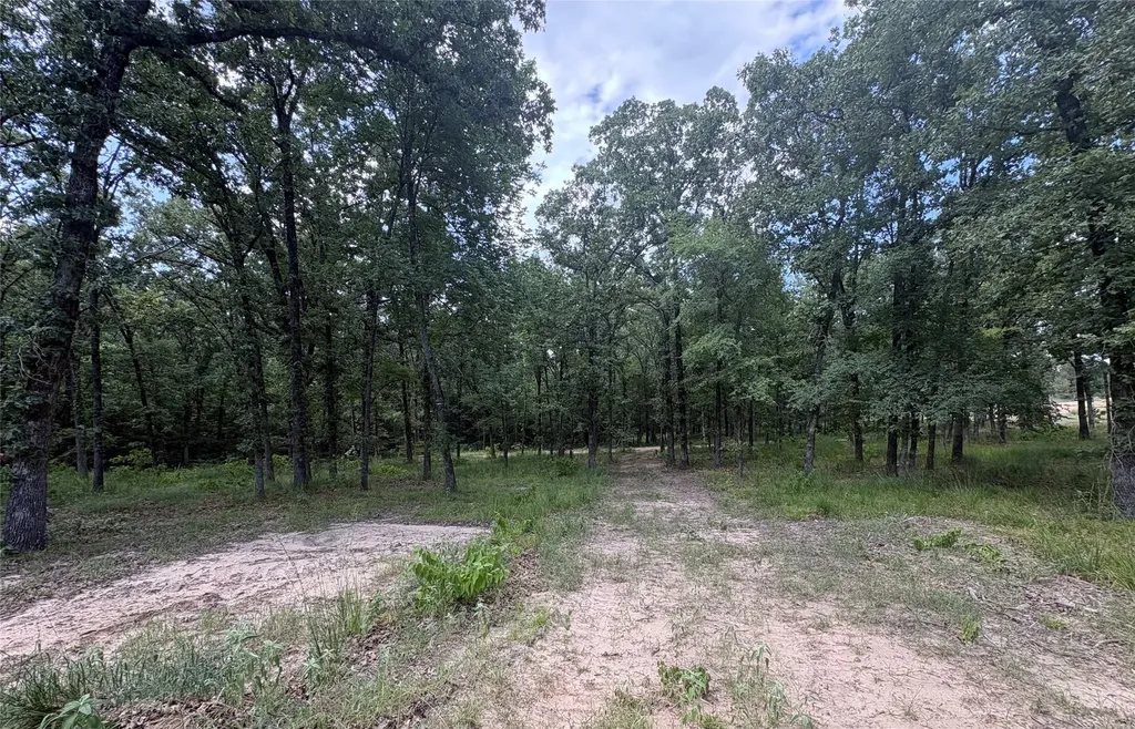 Tbd Pvt 5948 Road Yantis TX 75765