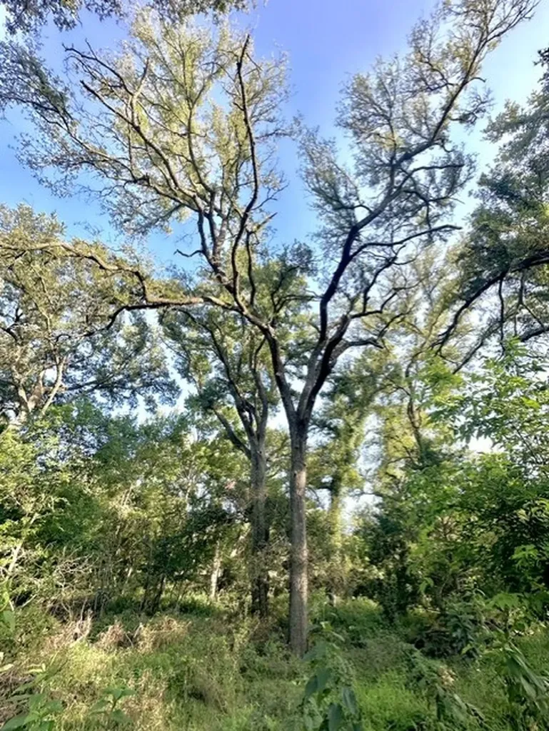 Tbd Cr 120 Marlin TX 76661