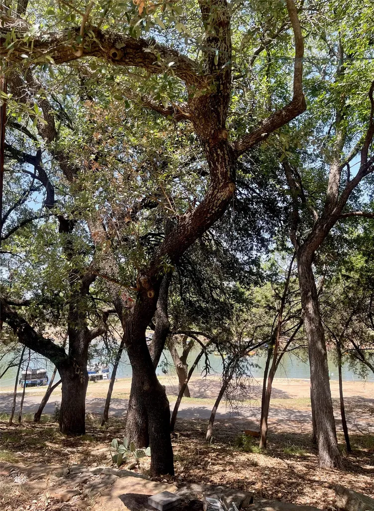 2334 Sanbar Road Possum Kingdom Lake TX 76449