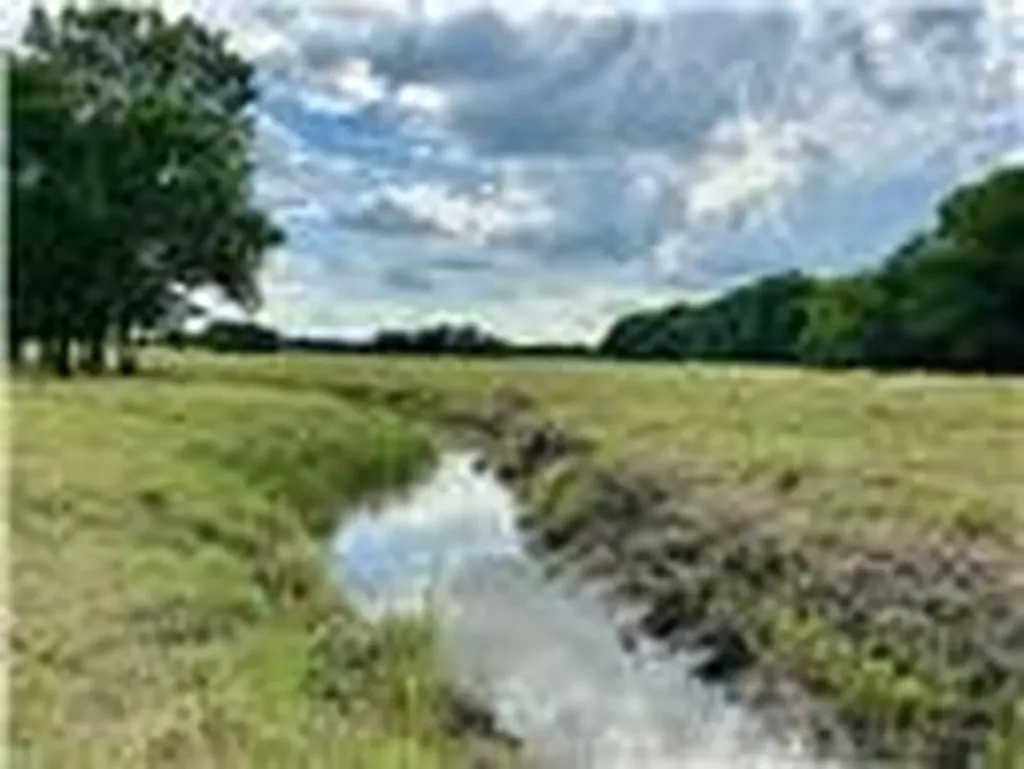 2396 County Road 2145 Cooper TX 75432