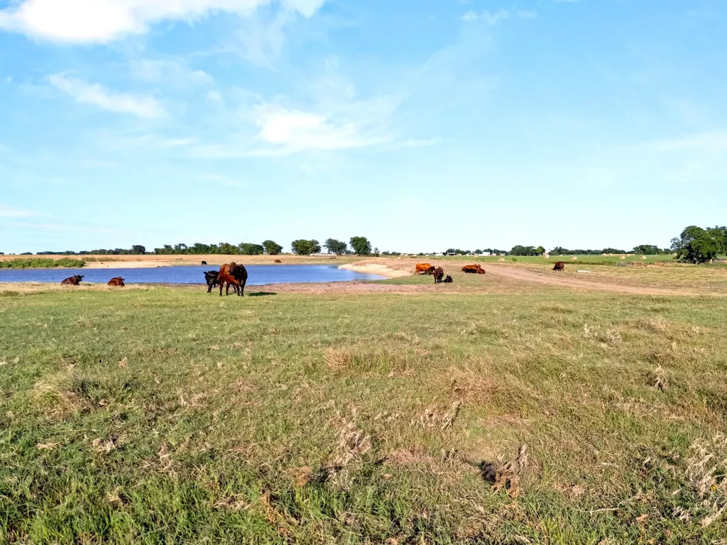 160 Ac. Tbd Covered Wagon Trail Crawford TX 76638