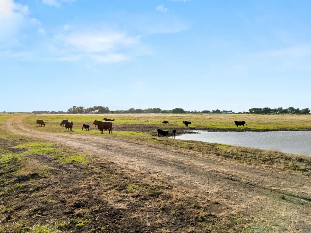 160 Ac. Tbd Covered Wagon Trail Crawford TX 76638
