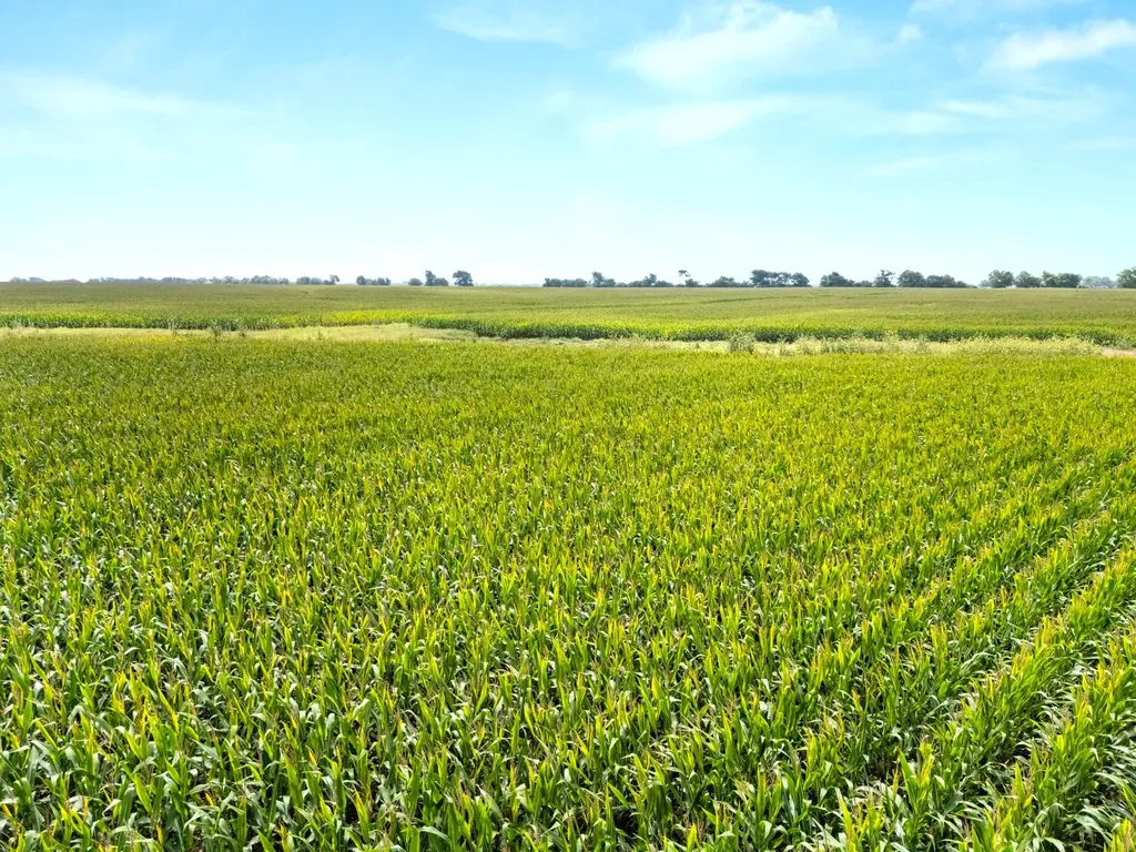 160 Ac. Tbd Covered Wagon Trail Crawford TX 76638