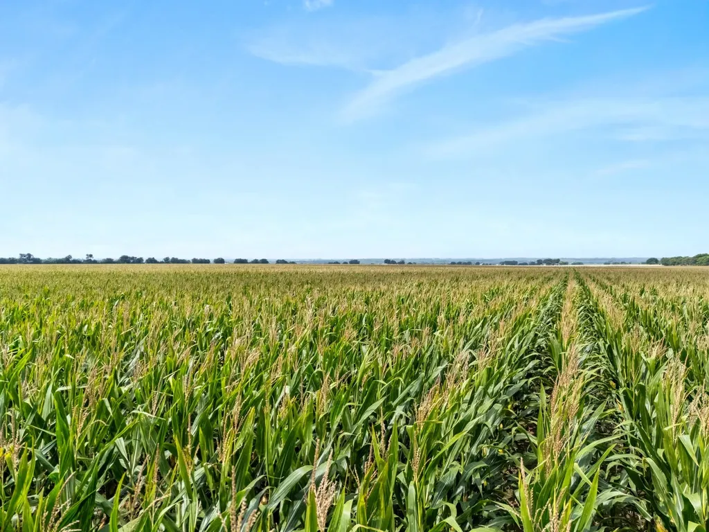 160 Ac. Tbd Covered Wagon Trail Crawford TX 76638