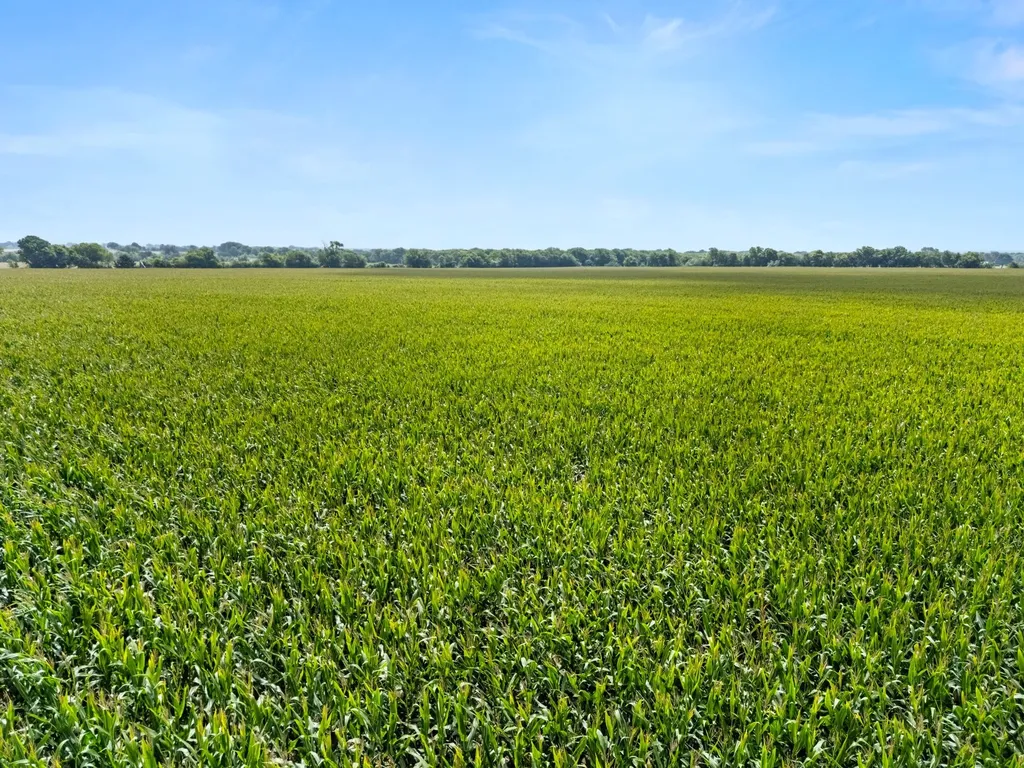 160 Ac. Tbd Covered Wagon Trail Crawford TX 76638