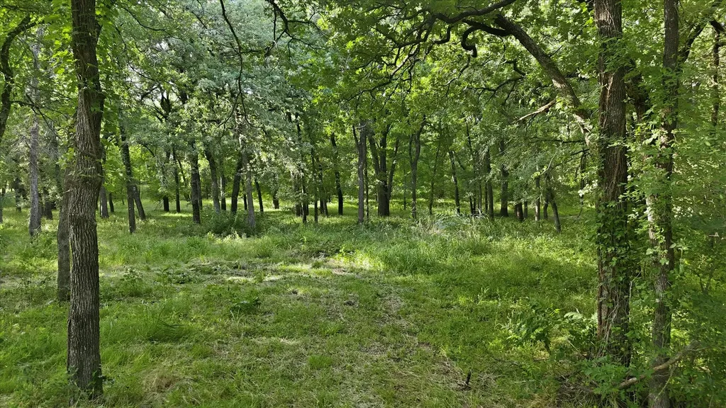 596 County Road 4668 Rhome TX 76078