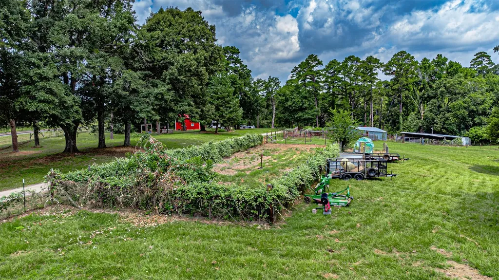 10927 Fm 1615 Athens TX 75752