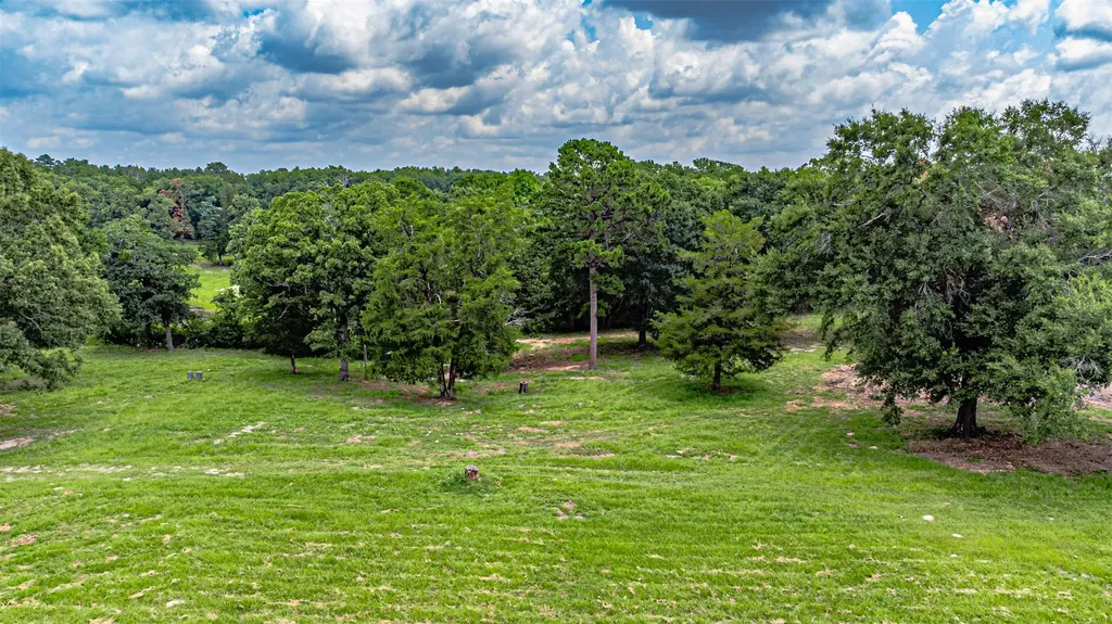 10927 Fm 1615 Athens TX 75752