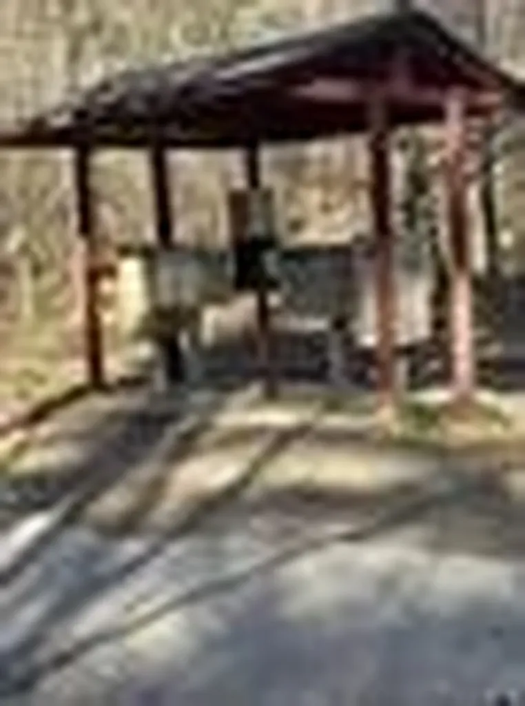 310 Private Road 8570 Winnsboro TX 75494