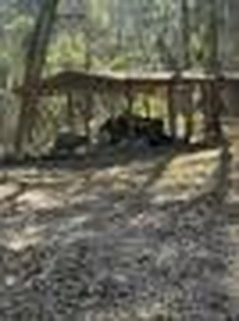 310 Private Road 8570 Winnsboro TX 75494