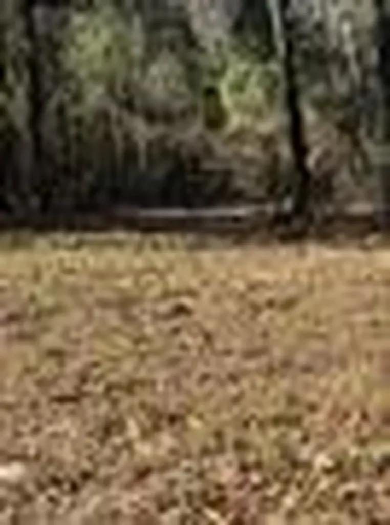 310 Private Road 8570 Winnsboro TX 75494