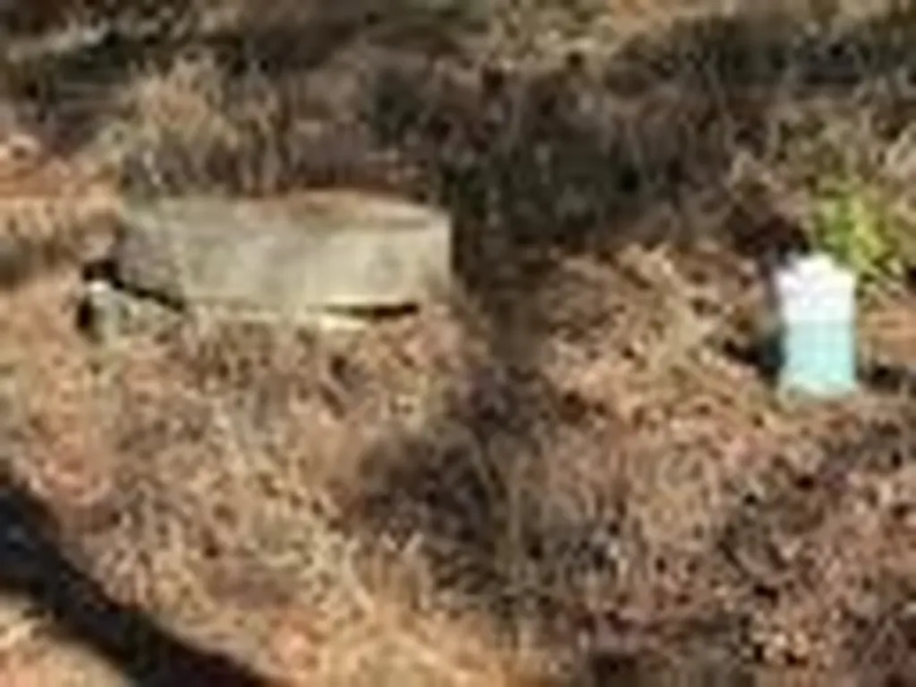 310 Private Road 8570 Winnsboro TX 75494