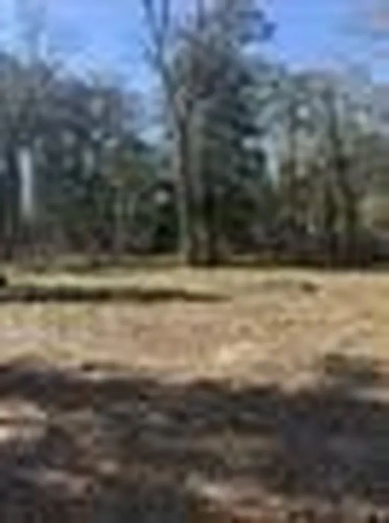 310 Private Road 8570 Winnsboro TX 75494
