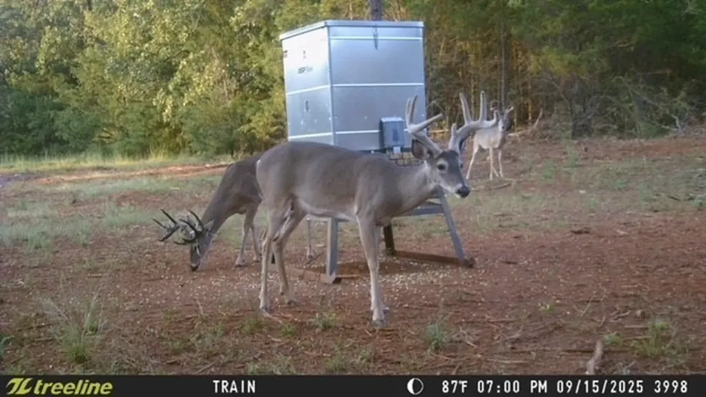 Tbd Cr 440 Lindale TX 75771
