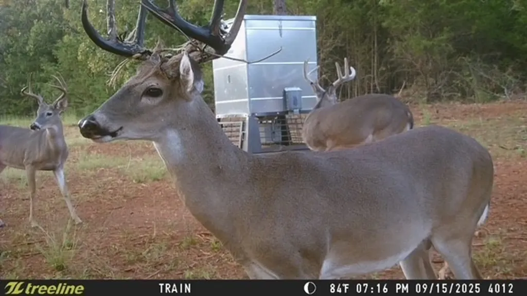16092 Cr 440 Lindale TX 75771