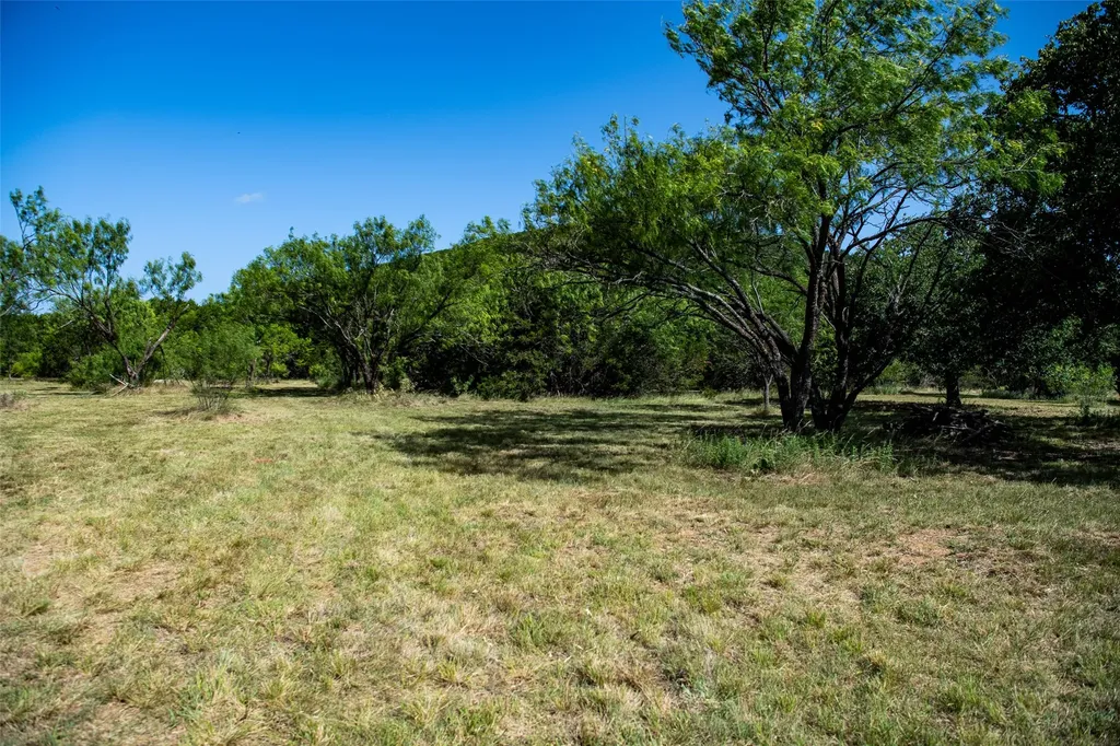 235 Big Bear Loop Strawn TX 76475
