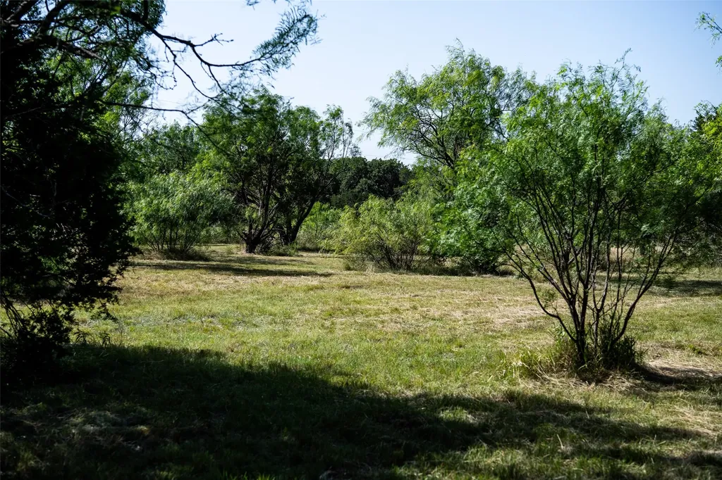 235 Big Bear Loop Strawn TX 76475