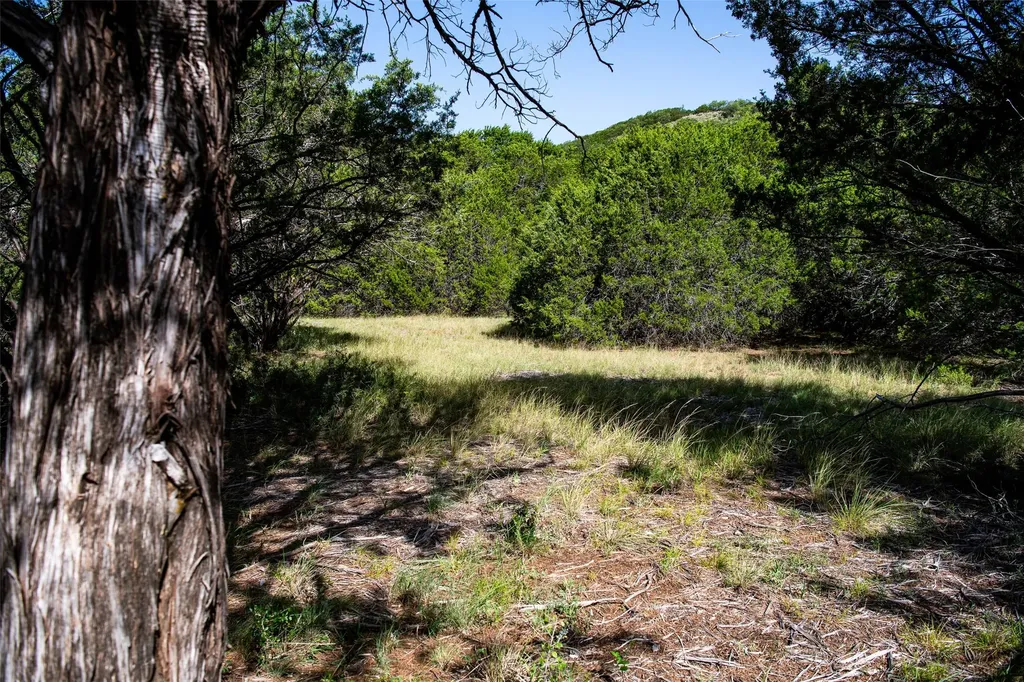 235 Big Bear Loop Strawn TX 76475