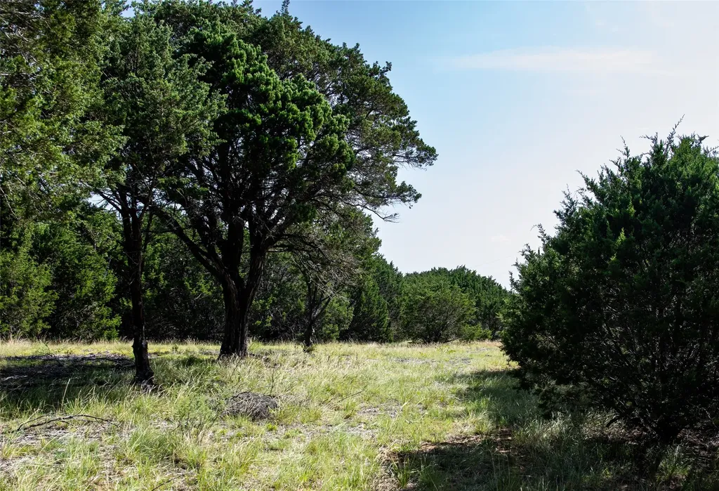 235 Big Bear Loop Strawn TX 76475