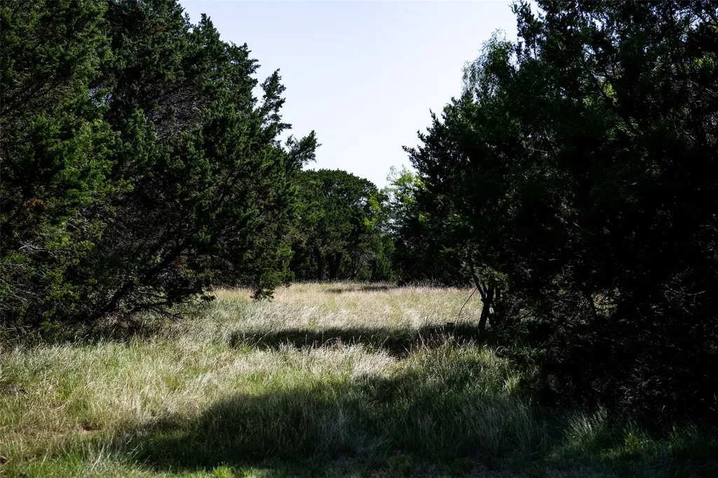 235 Big Bear Loop Strawn TX 76475