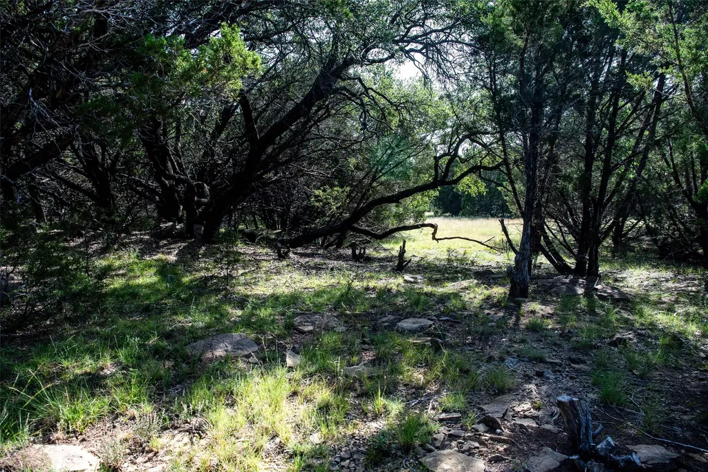 235 Big Bear Loop Strawn TX 76475