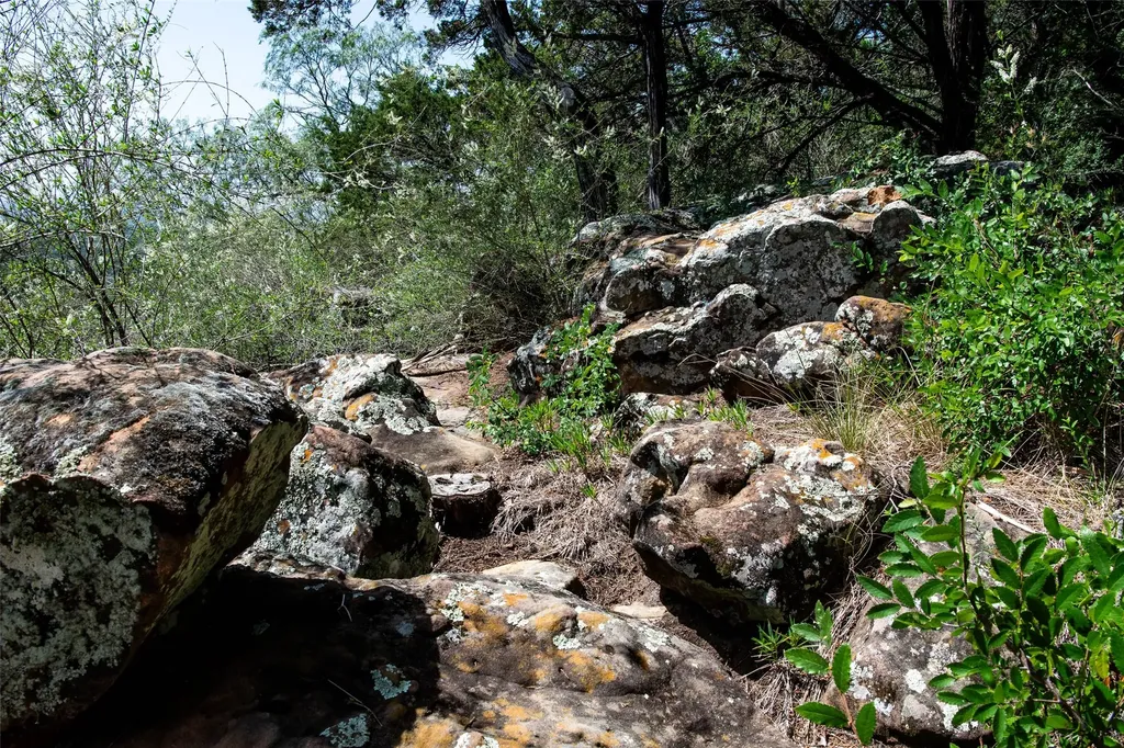 235 Big Bear Loop Strawn TX 76475