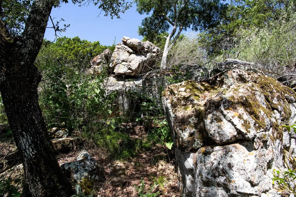 235 Big Bear Loop Strawn TX 76475