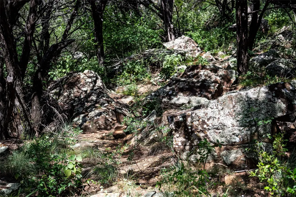 235 Big Bear Loop Strawn TX 76475