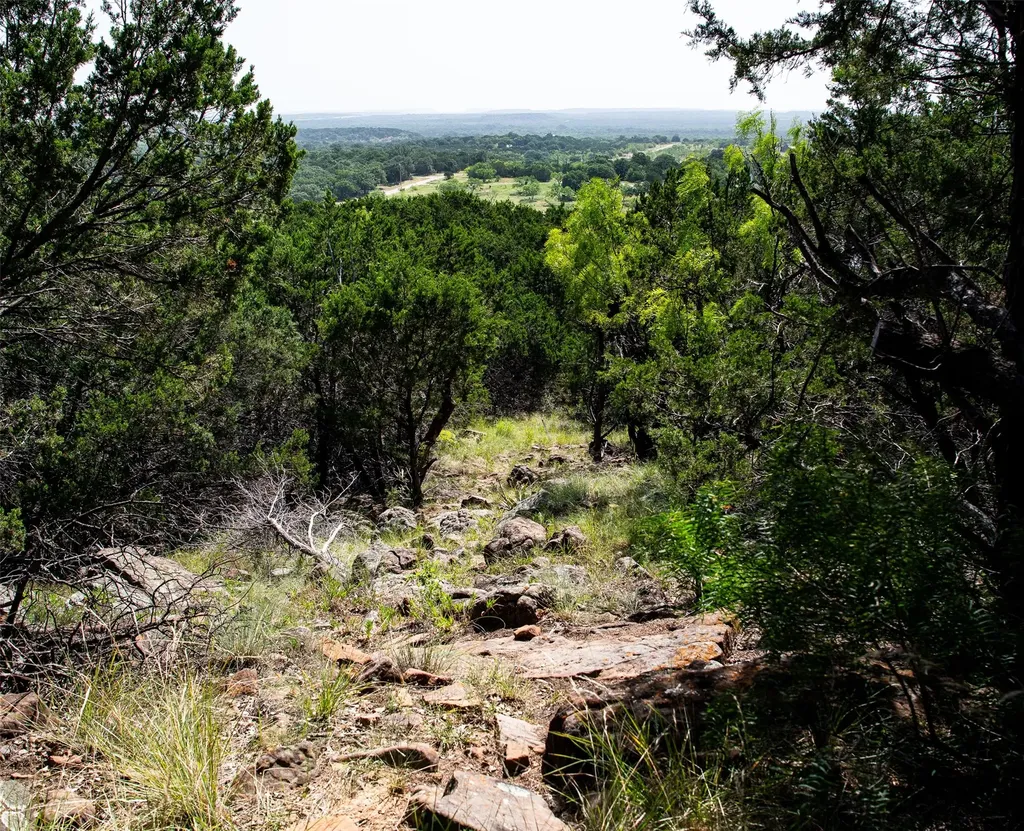 235 Big Bear Loop Strawn TX 76475