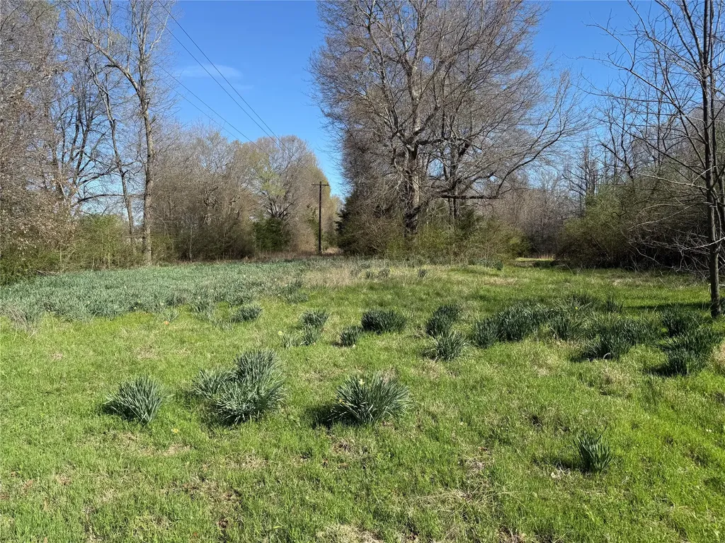 Tbd County Road 44250 Powderly TX 75473