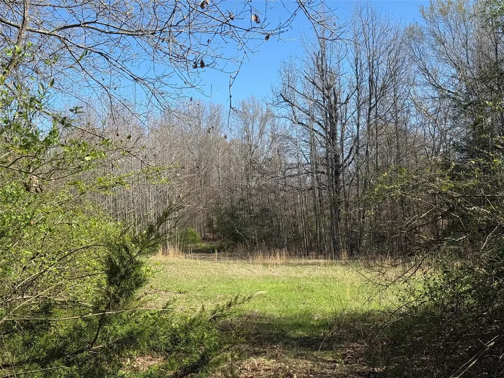 Tbd County Road 44250 Powderly TX 75473