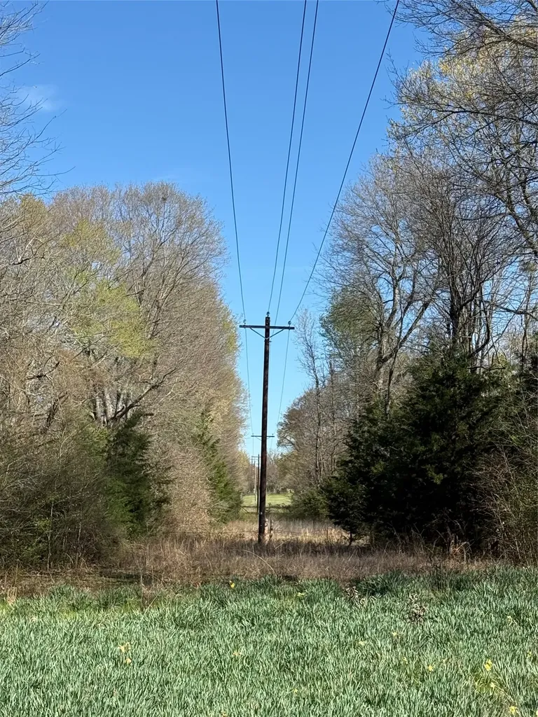 Tbd County Road 44250 Powderly TX 75473