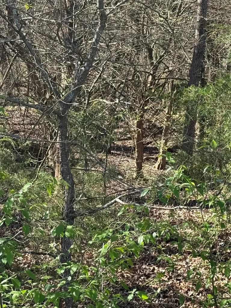 Tbd County Road 44250 Powderly TX 75473