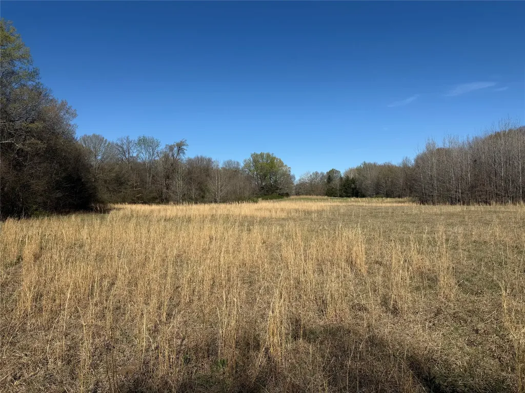 Tbd County Road 44250 Powderly TX 75473