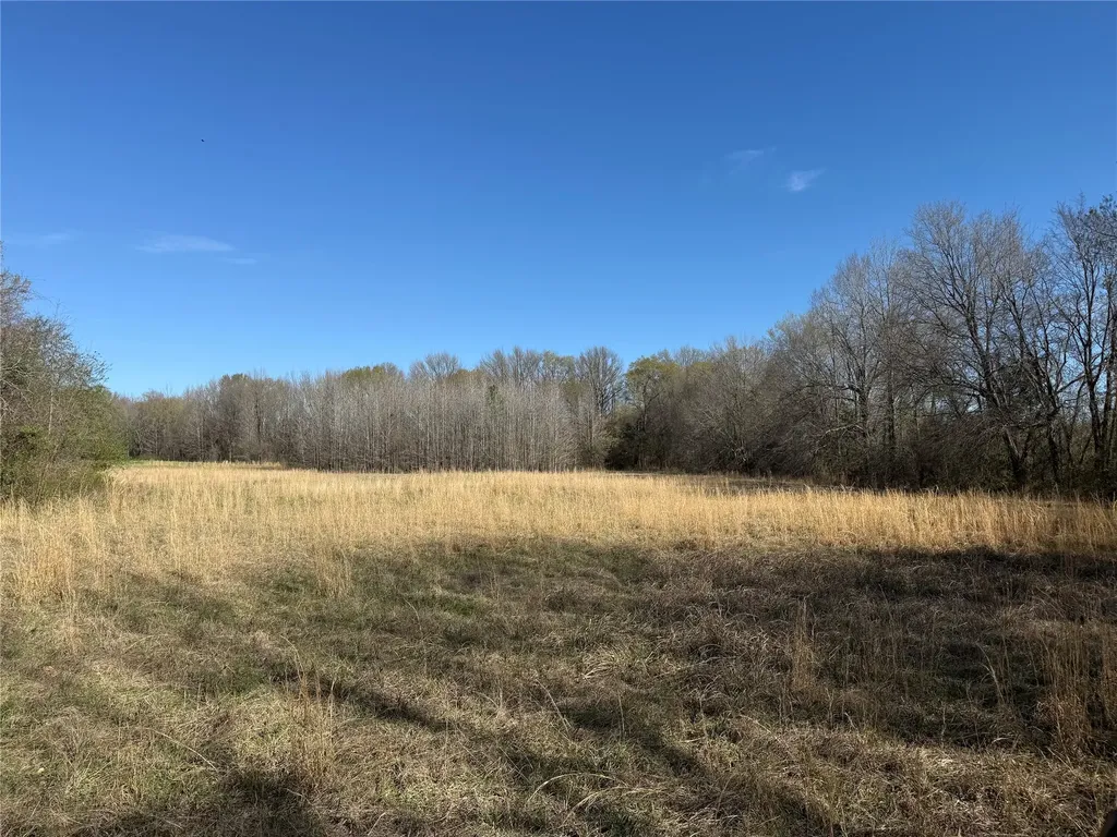 Tbd County Road 44250 Powderly TX 75473