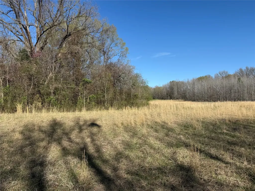 Tbd County Road 44250 Powderly TX 75473