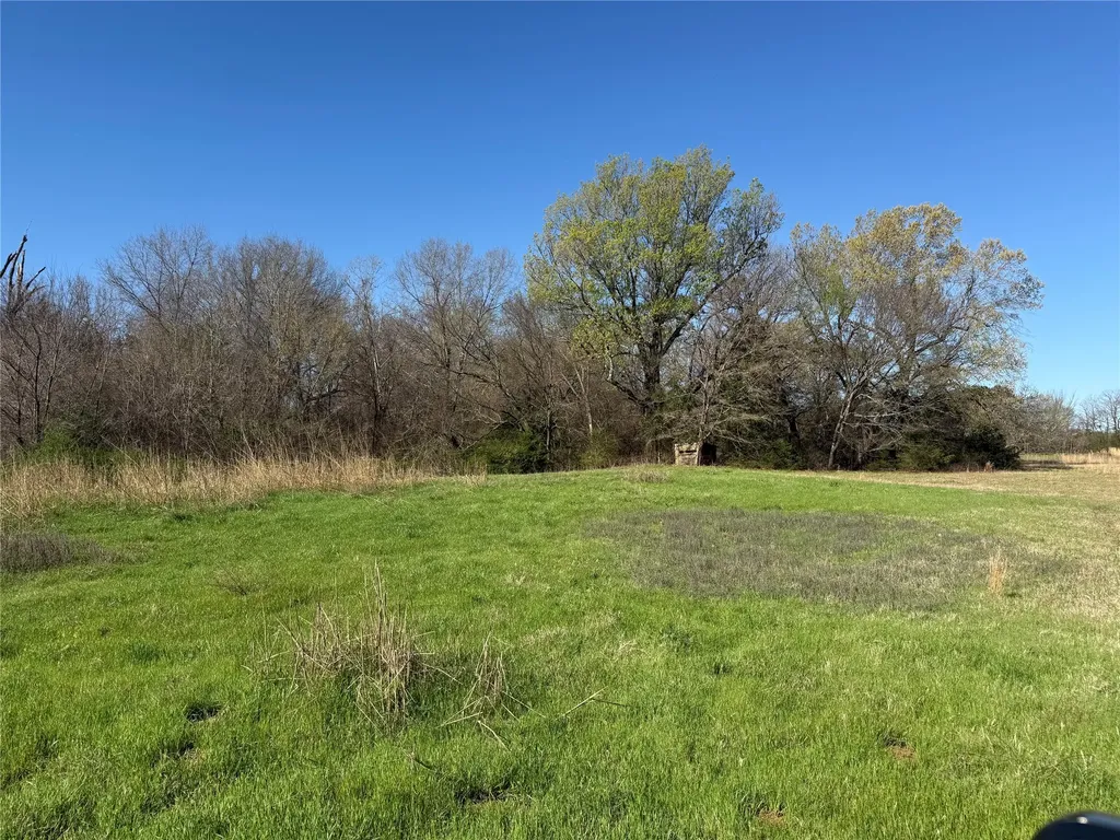 Tbd County Road 44250 Powderly TX 75473