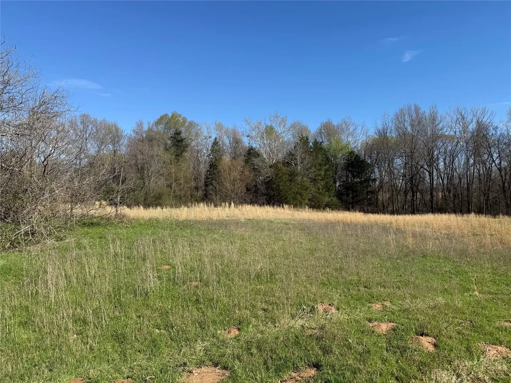 Tbd County Road 44250 Powderly TX 75473
