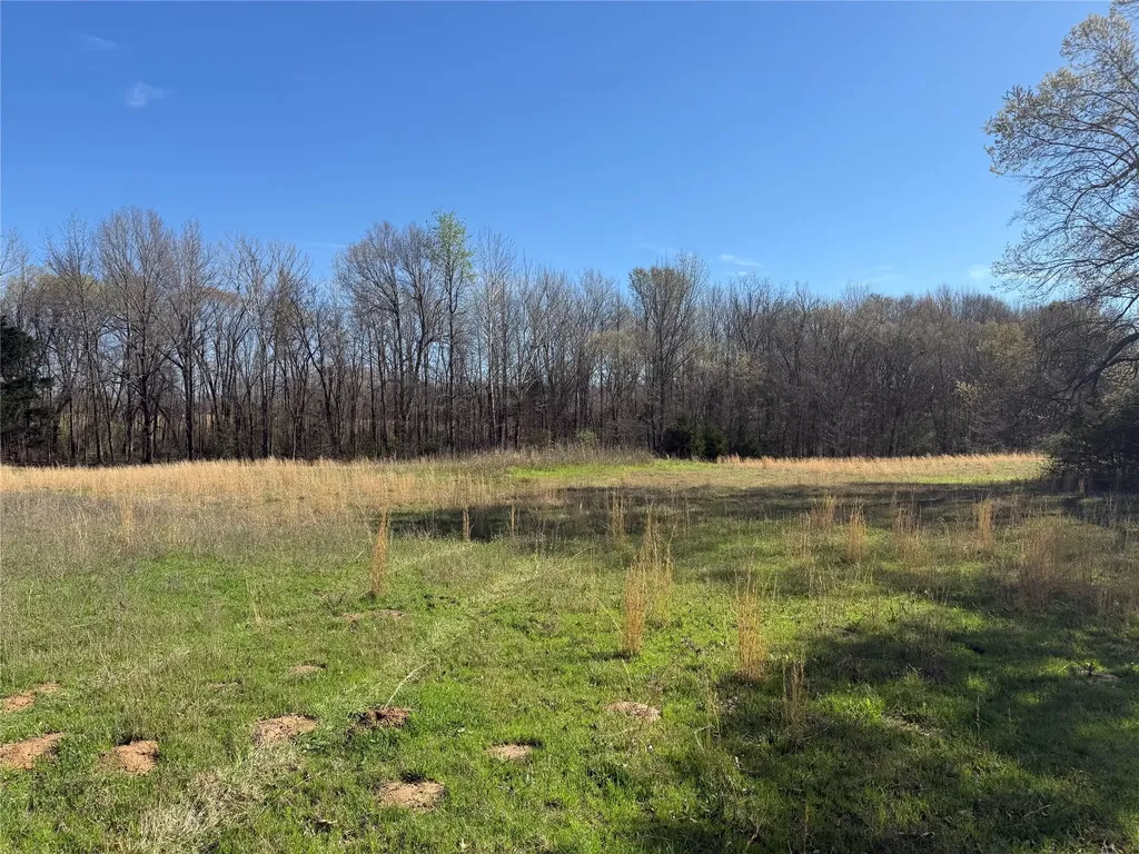 Tbd County Road 44250 Powderly TX 75473