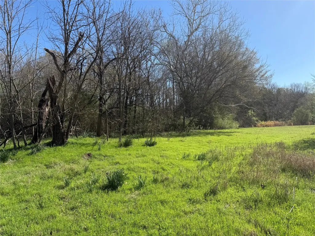 Tbd County Road 44250 Powderly TX 75473