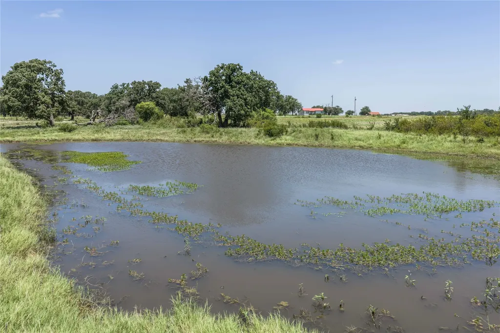 84.16 Acres Tbd Fm 587 De Leon TX 76444