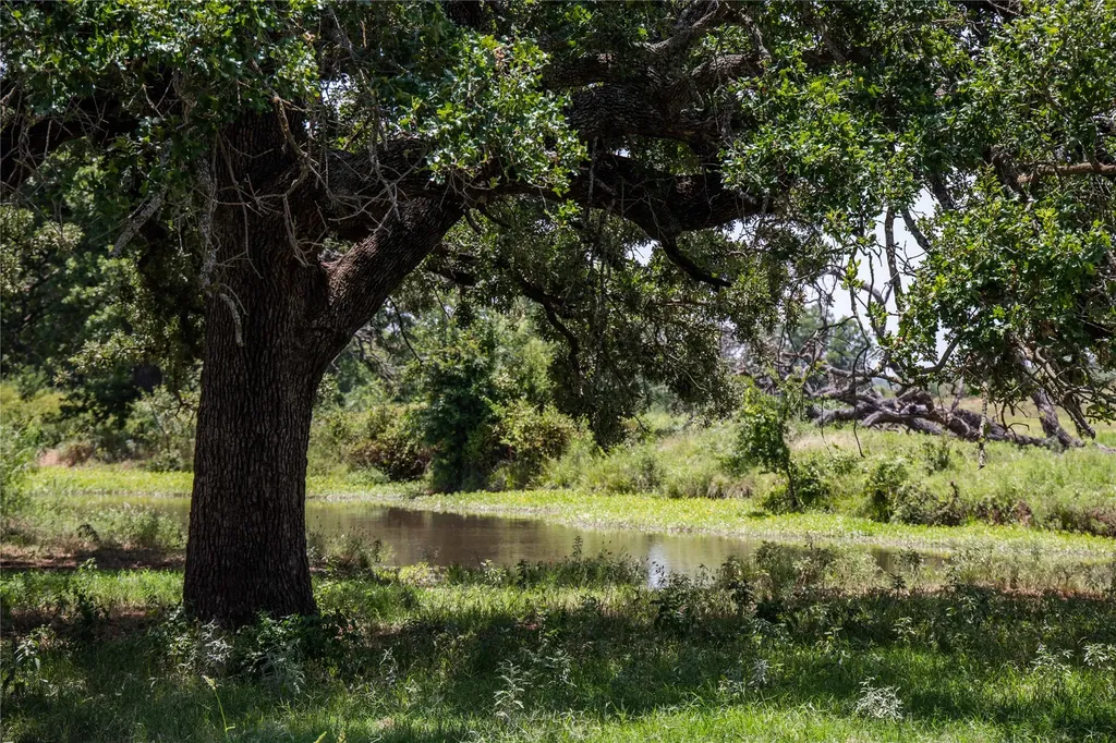 84.16 Acres Tbd Fm 587 De Leon TX 76444