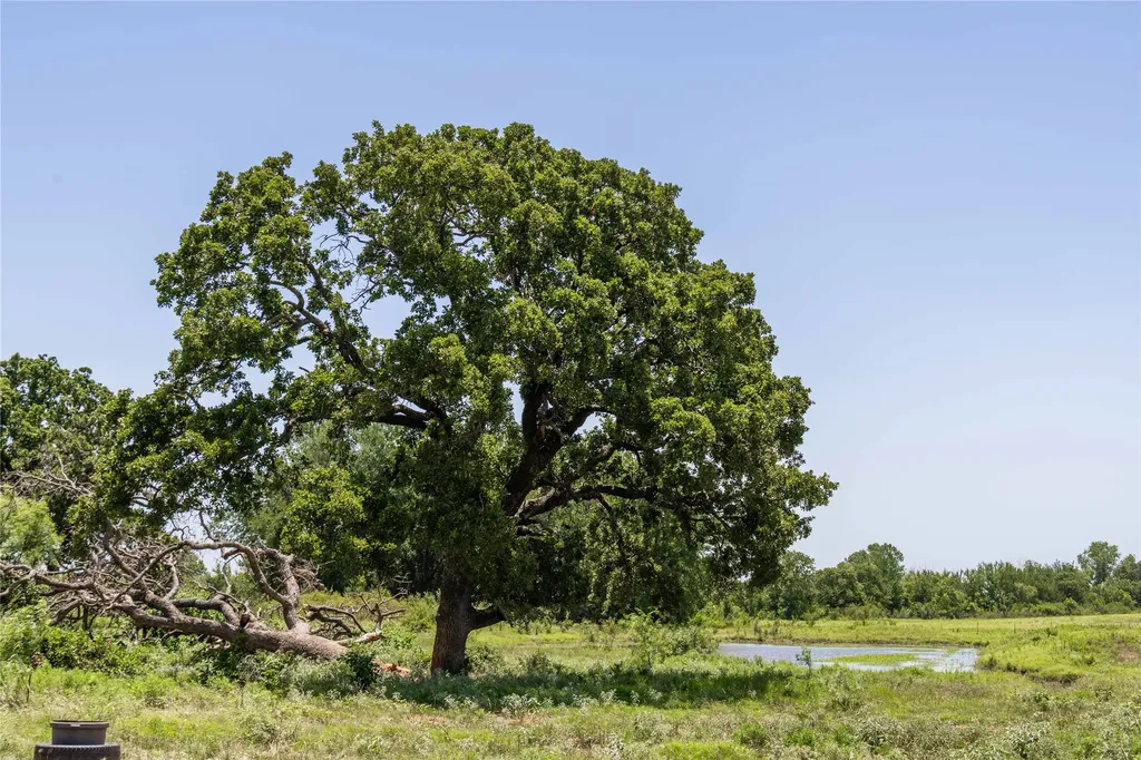84.16 Acres Tbd Fm 587 De Leon TX 76444